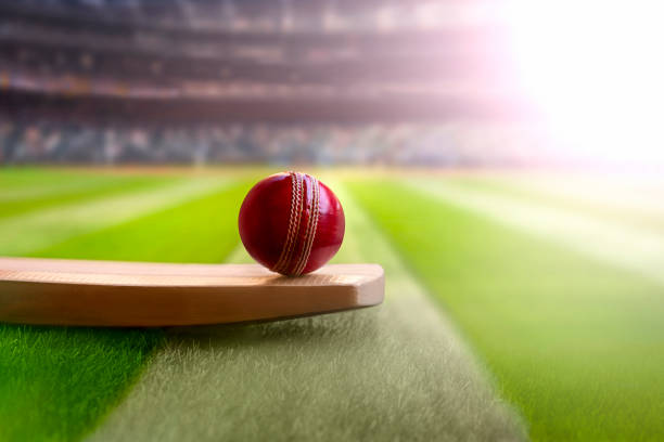 Unveiling Cricbet99: The Ultimate Cricket Betting Haven!